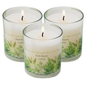 국내생산 르미에 컵 캔들 150g 허브포레스트 아로마 향초 양초