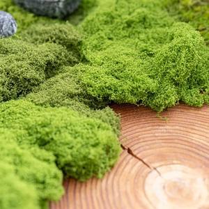 인조 이끼 테라리움  100g) 3컬러 인테리어 조화 장식 소품 원예 만들기 diy 재료