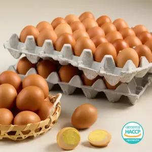 [HACCP] 구운계란 대란60구,  90구, 120구 구운란 건강간식