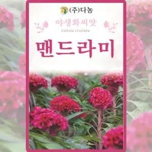 다농 맨드라미 씨앗 2g 맨드라미 꽃씨 야생화 종자
