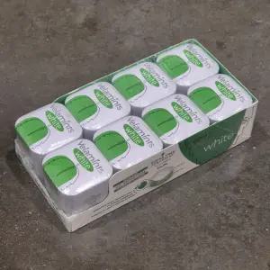 코스트코 벨라민츠 스피아민트 무설탕 껌 40g x 8개