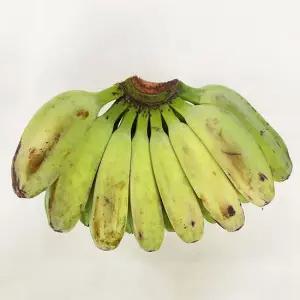 필리핀 그린사바(초록바나나) 1.5kg 쫀득한 식감 구우면 맛좋은