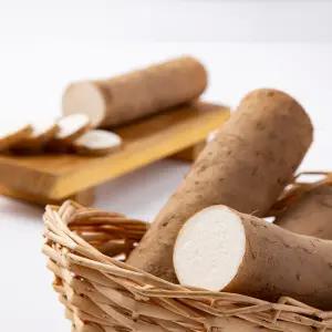 국내산 햇마 장마 알뜰형 2kg 산마 참나 안동마 진주마 뮤신