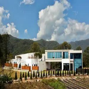 [강원] 까미노데플로레스타(강원, 홍천)