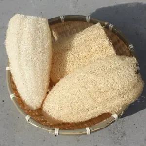 친환경수세미 5개 - 잘만든 국산 10~15cm 천연수세미