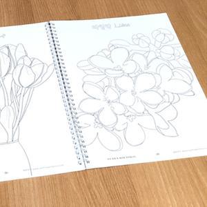 4권 색칠도안 치매예방색칠공부 어른 어르신 성인컬러링북 시니어