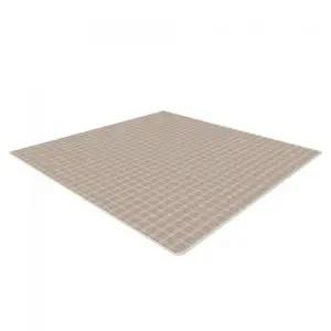 파크론 특대형 피크닉 매트 300 x 300 x 0.4cm 캠핑 야외 피크닉 잔디 돗자리 코스트코