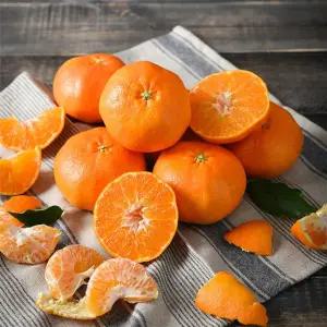 자연맛남 제주 고당도 레드향 4.5kg 대과(20과내외)