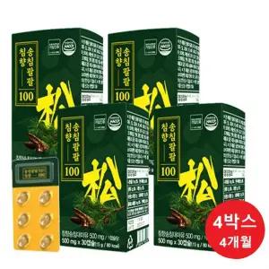 프리미엄 송침팔팔 침향100  적송유 송침유 고농축 솔잎증류액 4박스