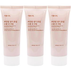 식물나라 뽀얀쌀 생기 톤업 수분 선크림100ml x3개