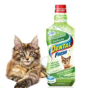 [프렌즈]치아 꼼꼼관리 물에섞어주는 고양이치약 237ml 고양이양치 캣 입냄새제거 칫솔질 치아관리