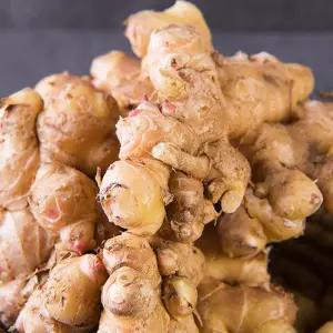 서산 황토밭 생강 1kg