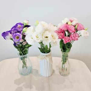 [꽃같은하루] 리시안셔스 꽃다발 생화 꽃 택배 주문 리시안서스 온라인꽃집