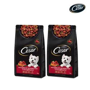 아트박스/시저 시저 연어와 최상급쇠고기 1KG 2개