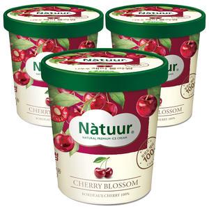 [슈팅냉동] 롯데웰푸드 나뚜루 체리블라썸 파인트, 474ml, 3개