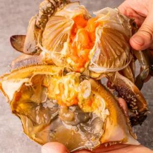 간장게장 국내산 암꽃게장 밥도둑 제철 봄암게 알배기 꽃게장