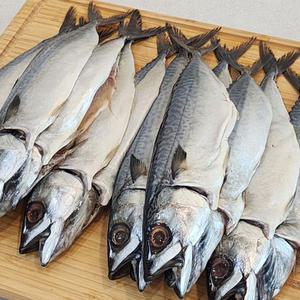 국내산 자반 고등어 12미 소