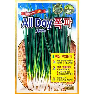올데이쪽파 500립 KS 25년 쪽파씨앗