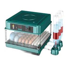 병아리부화기 오리 닭 조류 가정용 유정란 6구 계란 부화기 알 대형 메추리 온도조절 거위