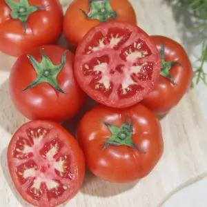 완숙 찰 토마토 5kg 1번 사이즈 대과 찰토마토 여름과일 제철과일 햇빛찰토마토 완숙토마토