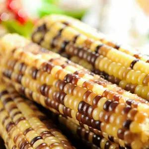 삶은 냉동 홍찰옥수수 왕특대 20개입 16-18cm내외