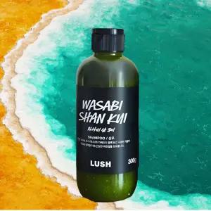 러쉬 상쾌한 멘톨 샴푸 두피청량 모근강화 볼륨업 와사비 샨 쿠이 300g