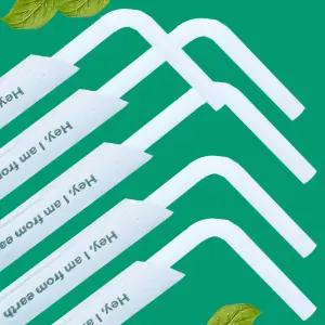 생분해 옥수수 전분 자바라 주름 빨대 100개 PLA 23cm 6파이 개발포장 친환경 빨대