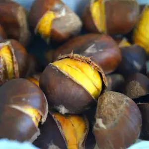 [고소담백] 황금빛 고소함, 약단밤 1kg, 2kg (세척, 칼집 완료)