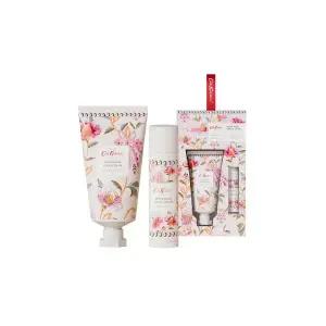 캐스키드슨 브라이어로즈 핸드 립 세트 x 3 결혼식답례품 친구생일선물