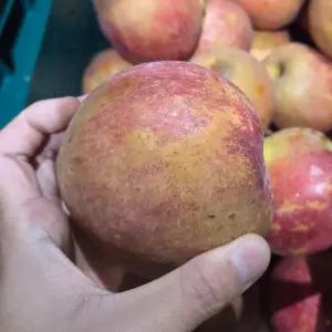 경북 감홍 사과 3kg 15-21과 소과 못난이사과 감흥사과 꿀사과 햇사과 안동 사과 한박스 고당도 사과 흠과