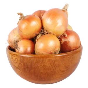 국내산 25년 양파 사이즈 중 10kg