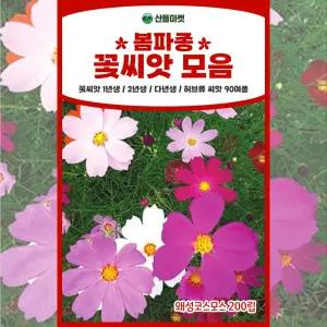 꽃씨앗 허브씨 봄파종 종자 왜성코스모스 씨앗 200립 꽃씨몰 야생화 다년생 씨앗