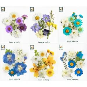 압화 누름꽃 조화 레진아트 압화공예재료 컬러가든