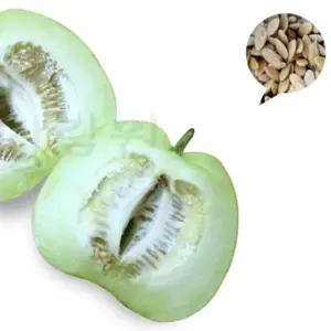 씨앗 사과 참외 토종 참외10알 아삭한 식감 가정 원예 취미 apple melon seeds