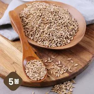 [NS홈쇼핑]2025년 햇 국내산 강진 쌀귀리 5kg (1kgX5봉)[35547147]