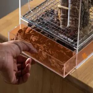 크레스티드게코사육장 개코 도마뱀 아크릴 기본모델 비바리움 세트 백스크린 집