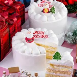 [카페노리]크리스마스 케이크 - 포장까지 완벽구성 [만들기세트] (1개)