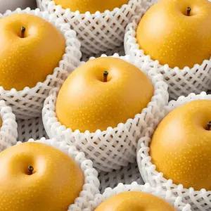 농부를 찾아서 고당도 나주배 3kg/5kg