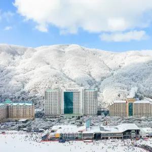 [비발디파크] 객실1박+조식+오션+ (리프트or 스노위랜드) 택1 (~26년2월28일까지)