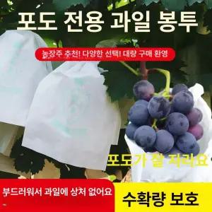 반투명 포도 전용 종이봉투 과일 포장 방충 방수 봉지