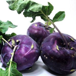 아삭한 제주 콜라비 3kg,5kg