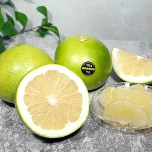 썬리지 미국직수입 청자몽 메로골드 3kg 7~10과