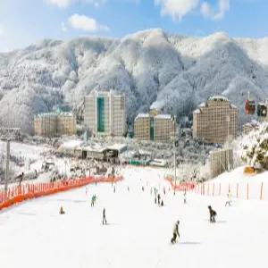 [강원 호텔] 소노캄 비발디파크 (홍천,횡성)