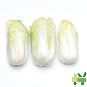 알배기배추 (쌈배추) 6Kg (상)