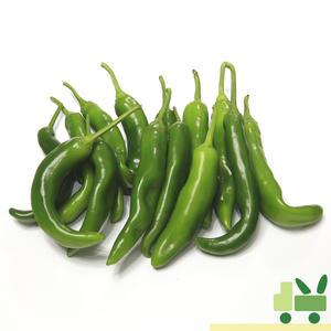 오이고추 1Kg (상)