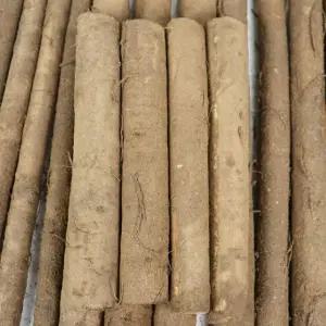 모자농부의 안동 우엉 4kg 차용 중대