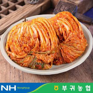 한국농협 마이산김치 국내산 포기김치 1kg
