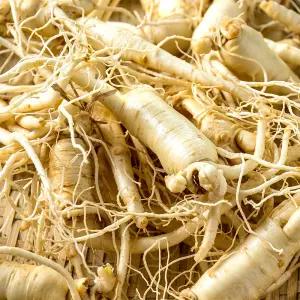 세척 금산인삼 1kg 막삼 수삼 못난이삼 파삼 실속삼 삼계삼 요리용 백숙 오쿠삼 가정용삼 홍삼 제조용 인