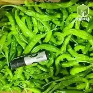 국내산 꽈리고추 상 4kg
