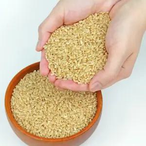 국내산 무농약 유기농 25년산 햇 잡곡 현미 1kg